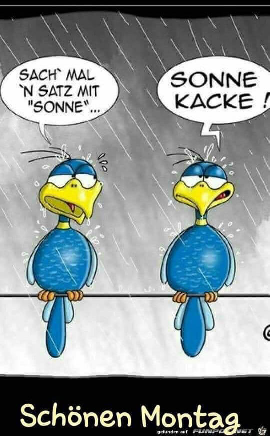 August 2023 - Wo ist die Sonne?